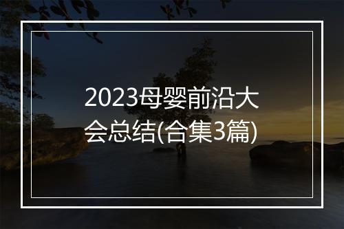 2023母婴前沿大会总结(合集3篇)