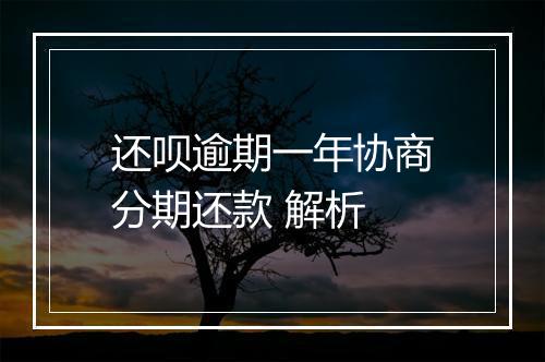 还呗逾期一年协商分期还款 解析