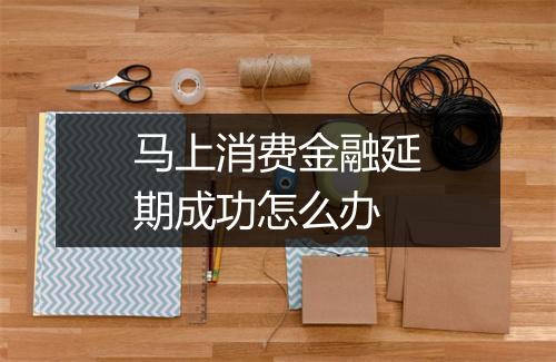 马上消费金融延期成功怎么办