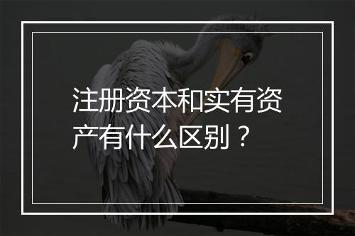 注册资本和实有资产有什么区别？