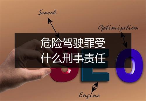 危险驾驶罪受什么刑事责任