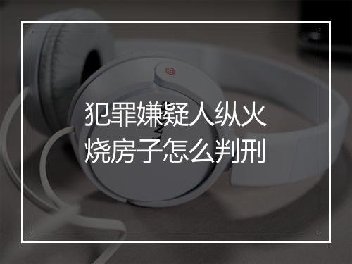 犯罪嫌疑人纵火烧房子怎么判刑