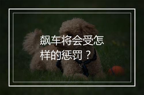 飙车将会受怎样的惩罚？