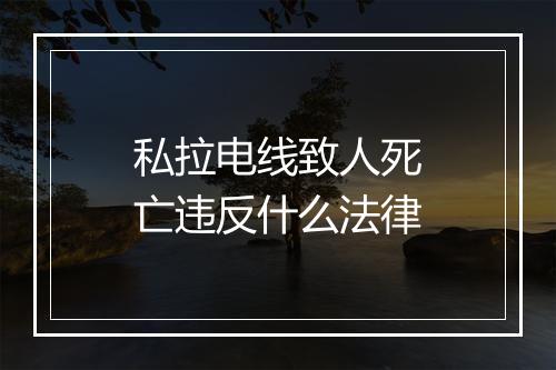 私拉电线致人死亡违反什么法律
