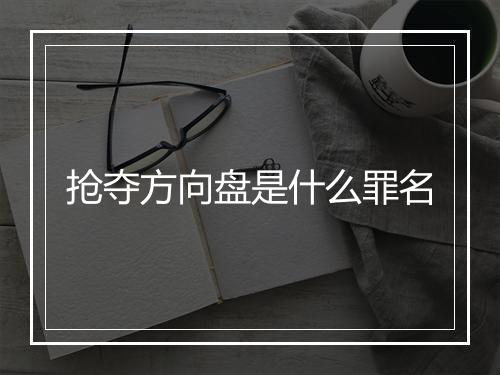 抢夺方向盘是什么罪名