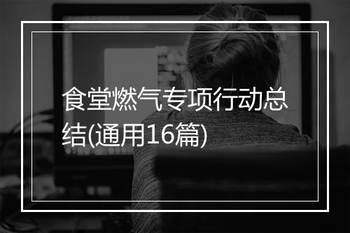 食堂燃气专项行动总结(通用16篇)