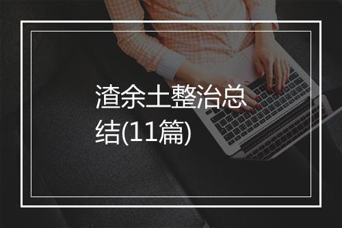渣余土整治总结(11篇)