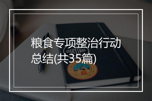 粮食专项整治行动总结(共35篇)