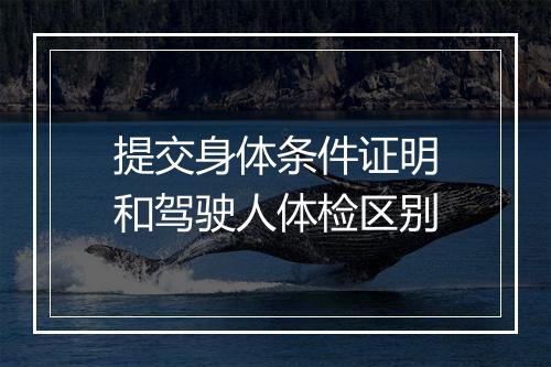 提交身体条件证明和驾驶人体检区别