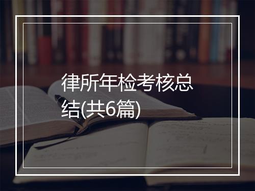 律所年检考核总结(共6篇)