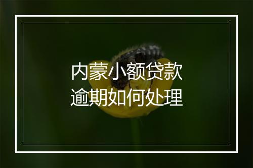 内蒙小额贷款逾期如何处理