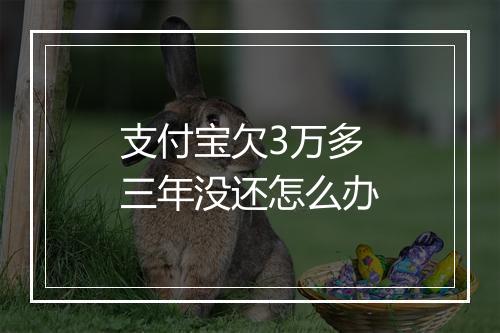 支付宝欠3万多三年没还怎么办