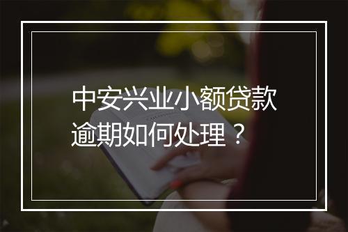 中安兴业小额贷款逾期如何处理？