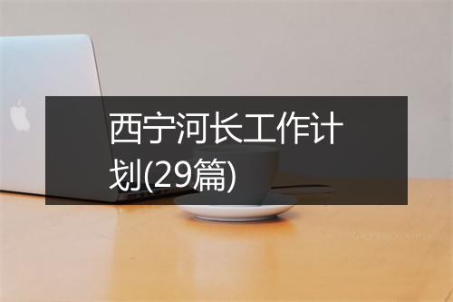 西宁河长工作计划(29篇)