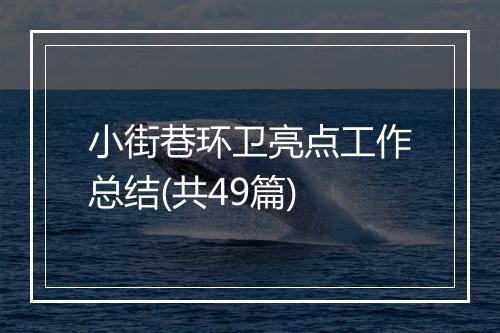 小街巷环卫亮点工作总结(共49篇)