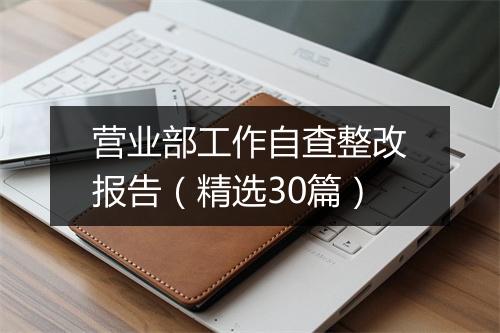 营业部工作自查整改报告（精选30篇）