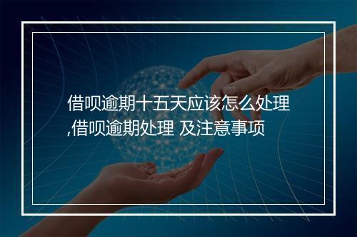 借呗逾期十五天应该怎么处理,借呗逾期处理 及注意事项