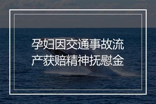 孕妇因交通事故流产获赔精神抚慰金