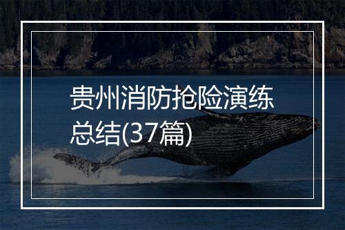贵州消防抢险演练总结(37篇)