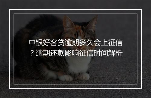 中银好客贷逾期多久会上征信？逾期还款影响征信时间解析