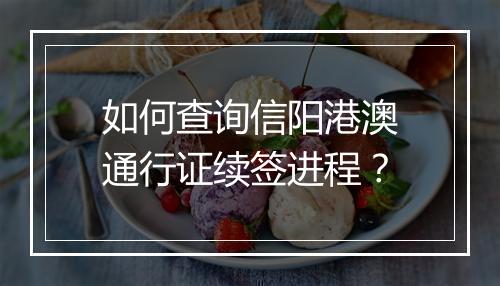 如何查询信阳港澳通行证续签进程？