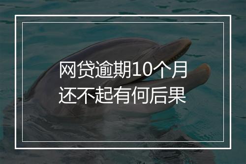 网贷逾期10个月还不起有何后果