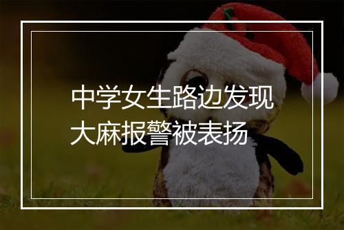 中学女生路边发现大麻报警被表扬