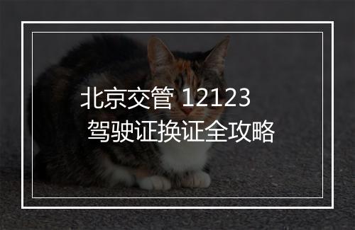 北京交管 12123 驾驶证换证全攻略