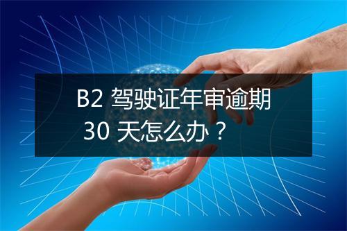 B2 驾驶证年审逾期 30 天怎么办？