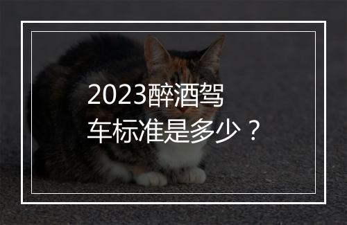 2023醉酒驾车标准是多少？