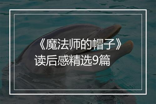 《魔法师的帽子》读后感精选9篇