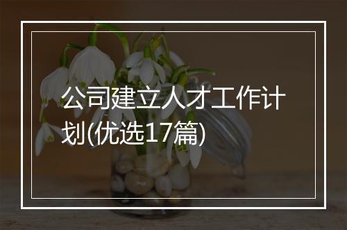 公司建立人才工作计划(优选17篇)