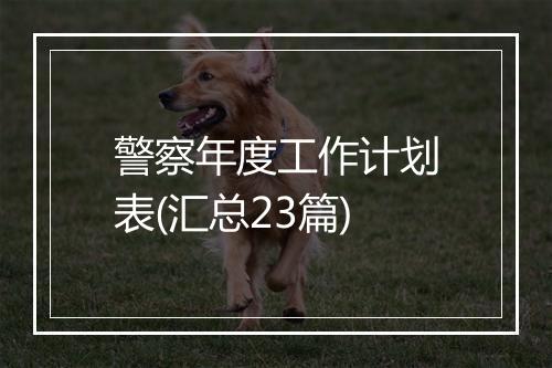 警察年度工作计划表(汇总23篇)