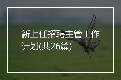 新上任招聘主管工作计划(共26篇)