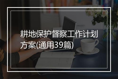耕地保护督察工作计划方案(通用39篇)