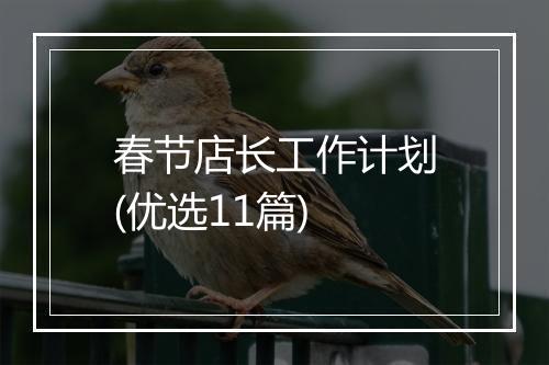 春节店长工作计划(优选11篇)