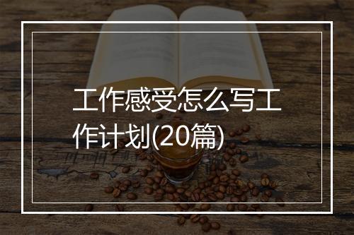 工作感受怎么写工作计划(20篇)