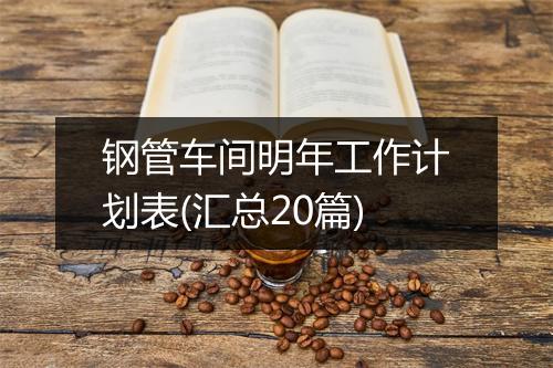 钢管车间明年工作计划表(汇总20篇)