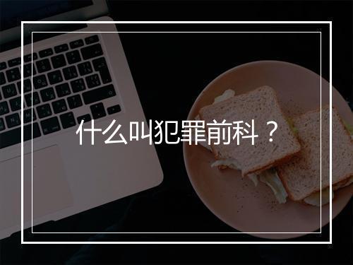 什么叫犯罪前科？