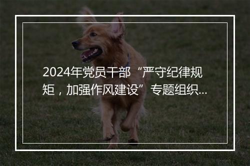 2024年党员干部“严守纪律规矩，加强作风建设”专题组织生活会个人对照检查剖析材料
