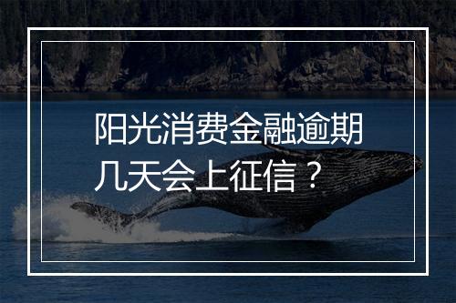 阳光消费金融逾期几天会上征信？