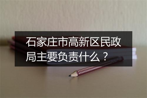 石家庄市高新区民政局主要负责什么？