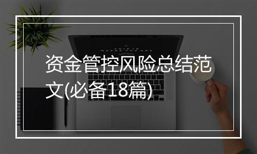 资金管控风险总结范文(必备18篇)