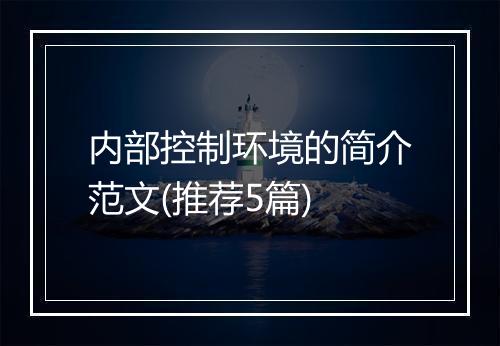 内部控制环境的简介范文(推荐5篇)