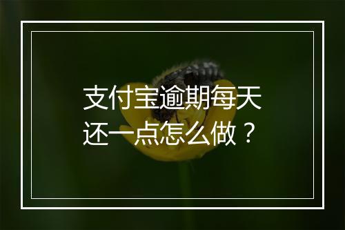 支付宝逾期每天还一点怎么做？