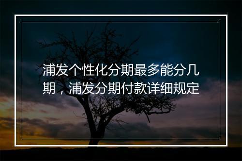 浦发个性化分期最多能分几期，浦发分期付款详细规定