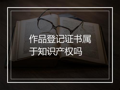 作品登记证书属于知识产权吗