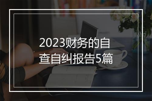 2023财务的自查自纠报告5篇