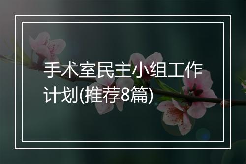 手术室民主小组工作计划(推荐8篇)