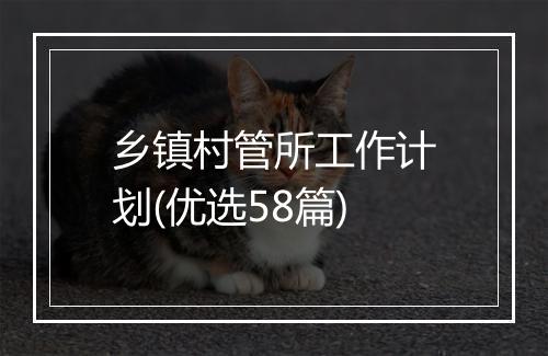 乡镇村管所工作计划(优选58篇)